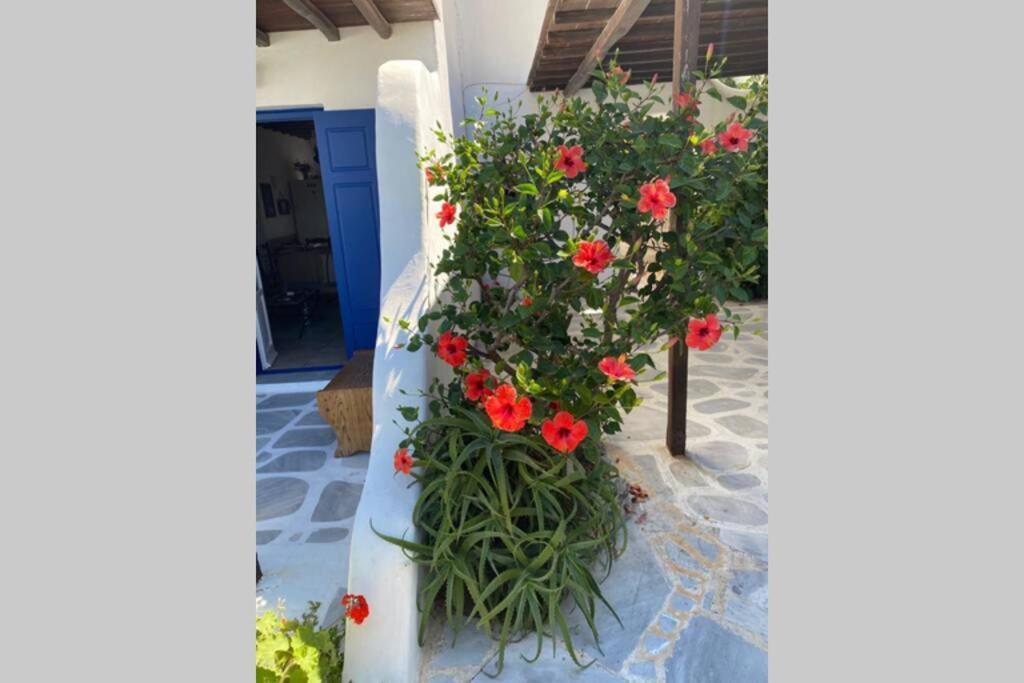 Pigeon House Ornos Beach Mykonos Town Exterior photo